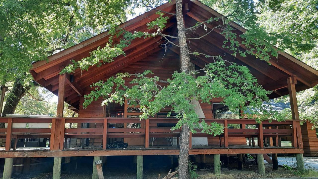 Agradable casa cerca de las termas de Chillan Las Trancas Exterior foto
