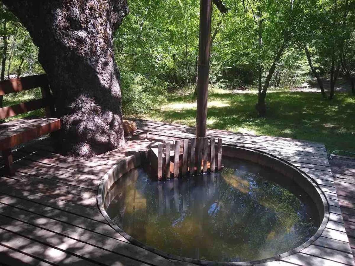 Agradable casa cerca de las termas de Chillan Las Trancas Exterior foto